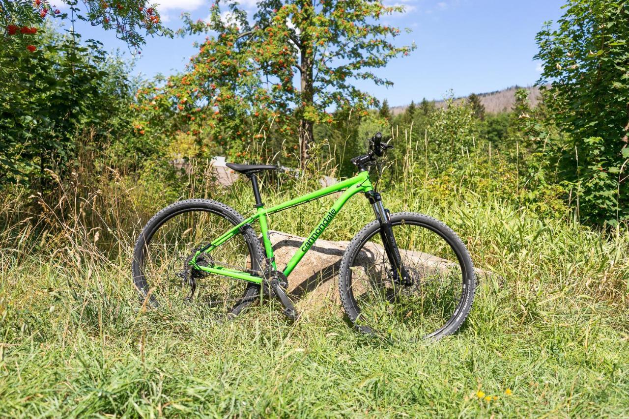 Ferienanlage Zum Wildbach Ширке Екстериор снимка