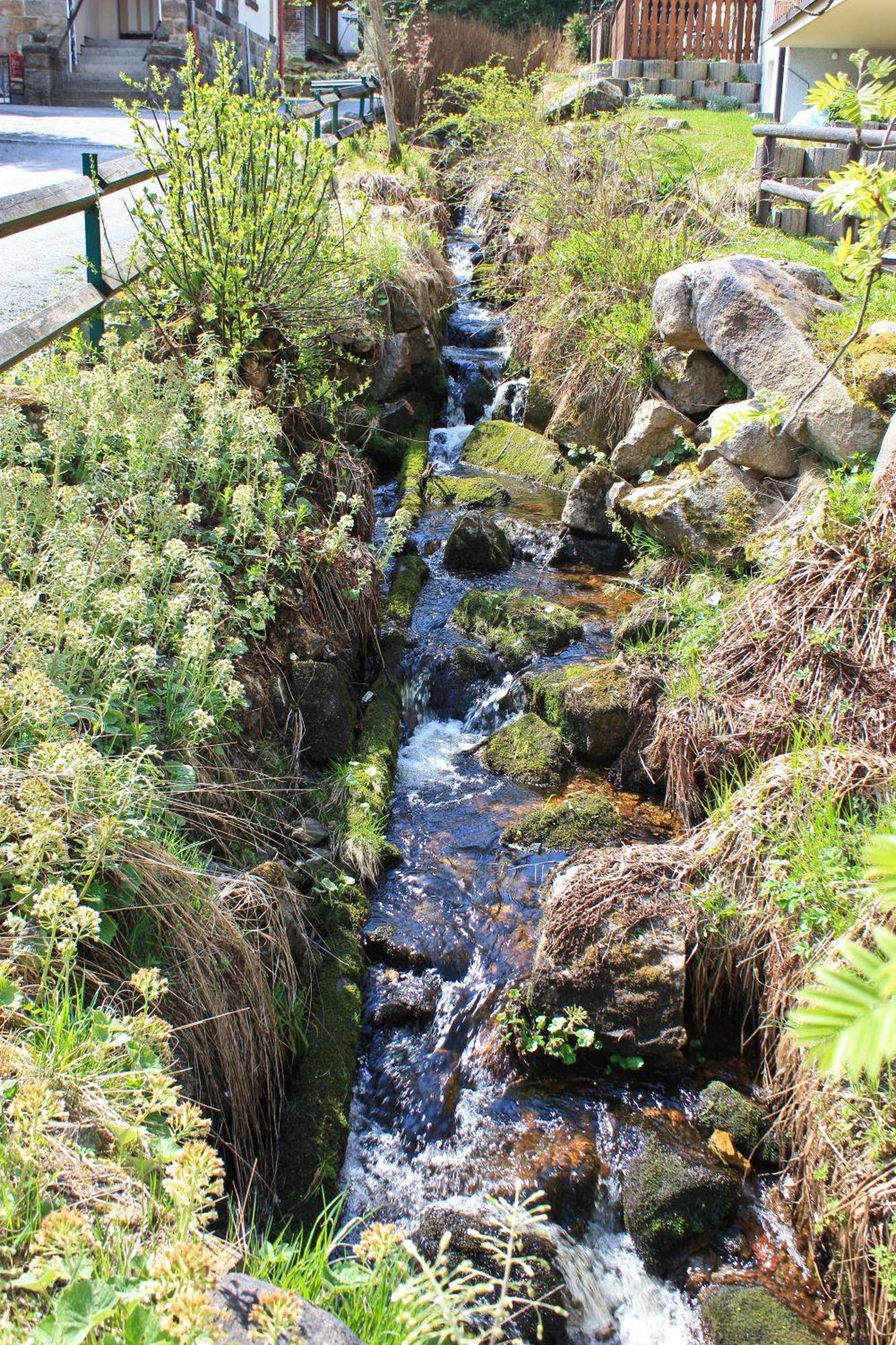Ferienanlage Zum Wildbach Ширке Екстериор снимка
